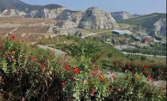 為什么鋁蜂窩大板這么受消費者喜愛？